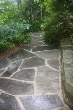 Flag stone path