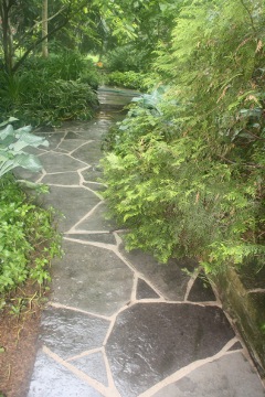 Flag stone path